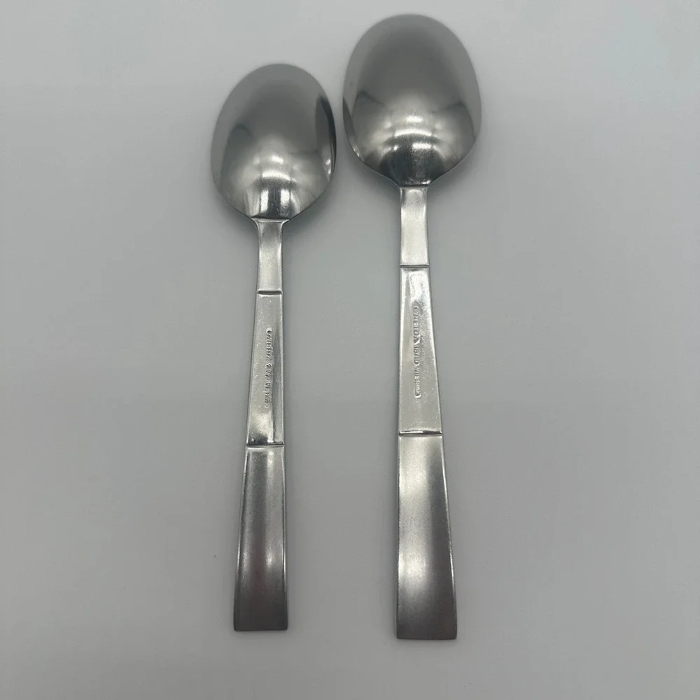 Oneida Echo 18/10 Stainless Steel Flatware 2 Piece Set Teaspoon and Soup Spoon